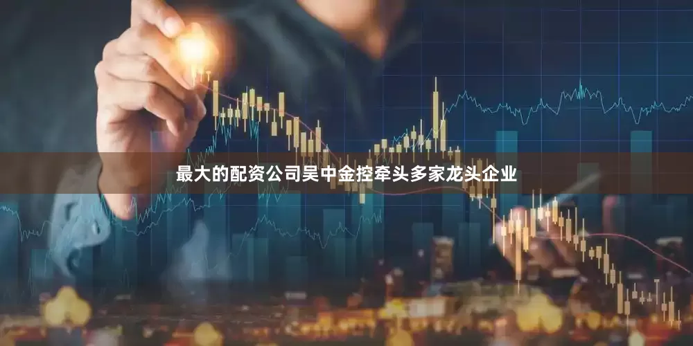 最大的配资公司吴中金控牵头多家龙头企业