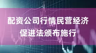 配资公司行情民营经济促进法颁布施行