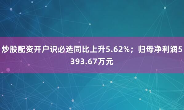 炒股配资开户识必选同比上升5.62%；归母净利润5393.67万元