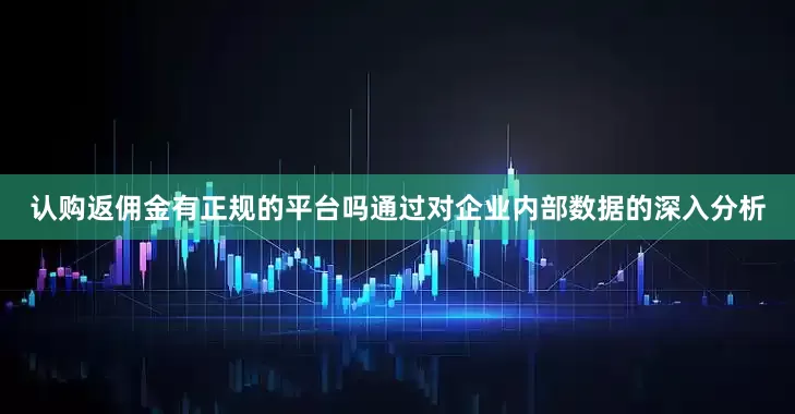 认购返佣金有正规的平台吗通过对企业内部数据的深入分析